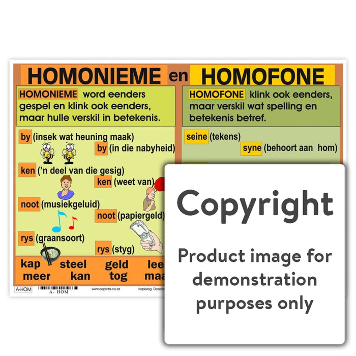 Homonieme En Homofone Wall Charts And Posters